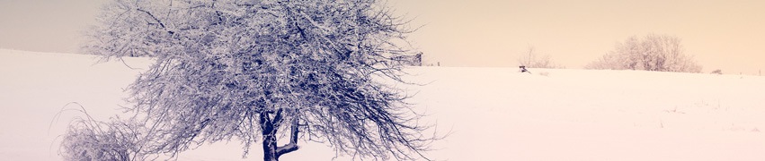 Interesting Facts About Winter Gritting Image